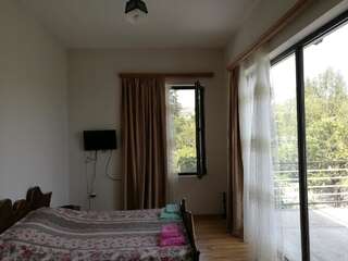 Проживание в семье Agora Тбилиси Двухместный номер с 1 кроватью и балконом-9